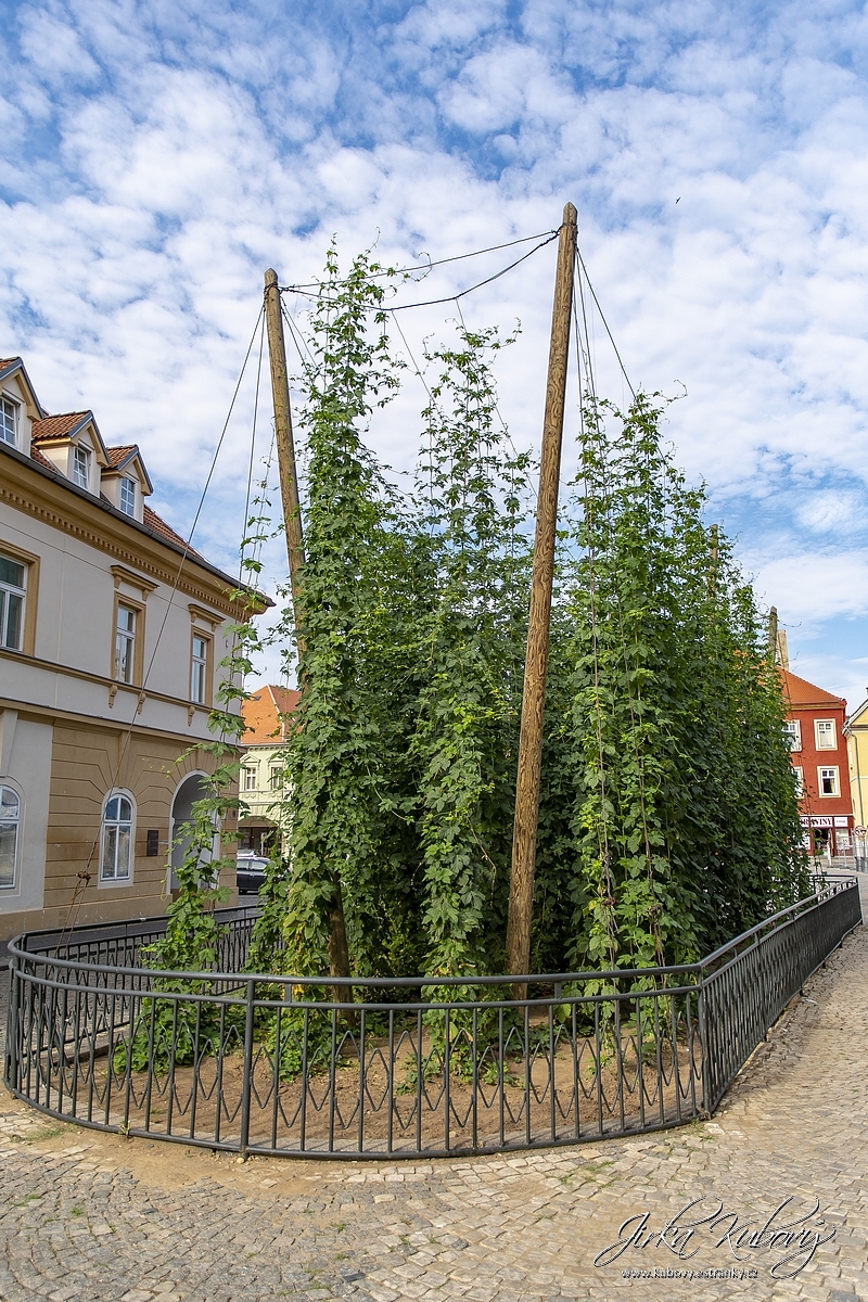 Žatec (21)