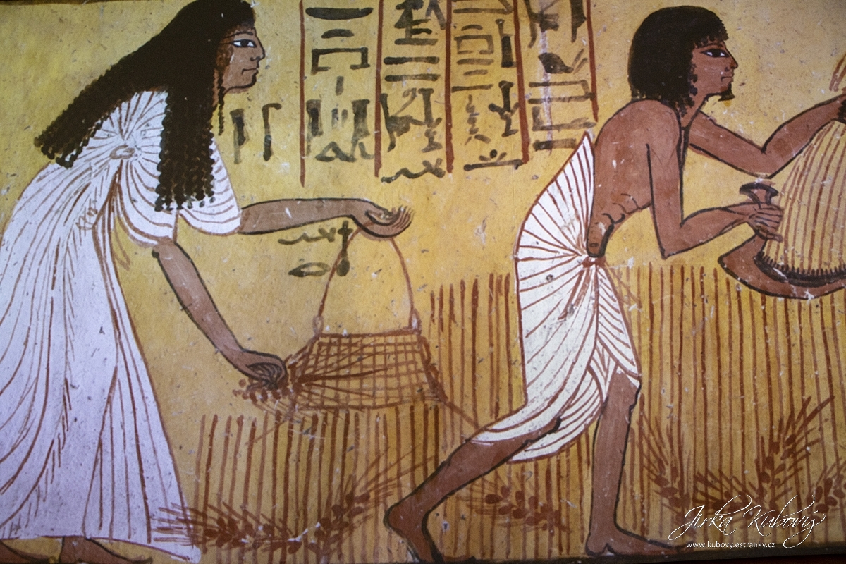 Tutanchamon (11)