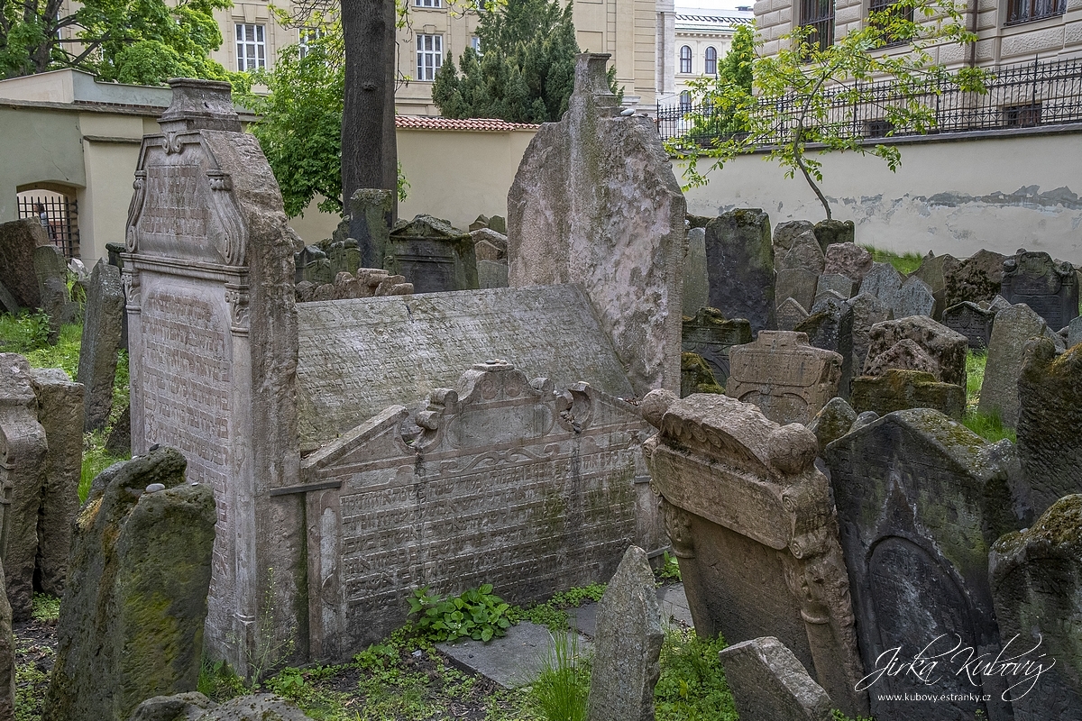 Židovské muzeum (10)