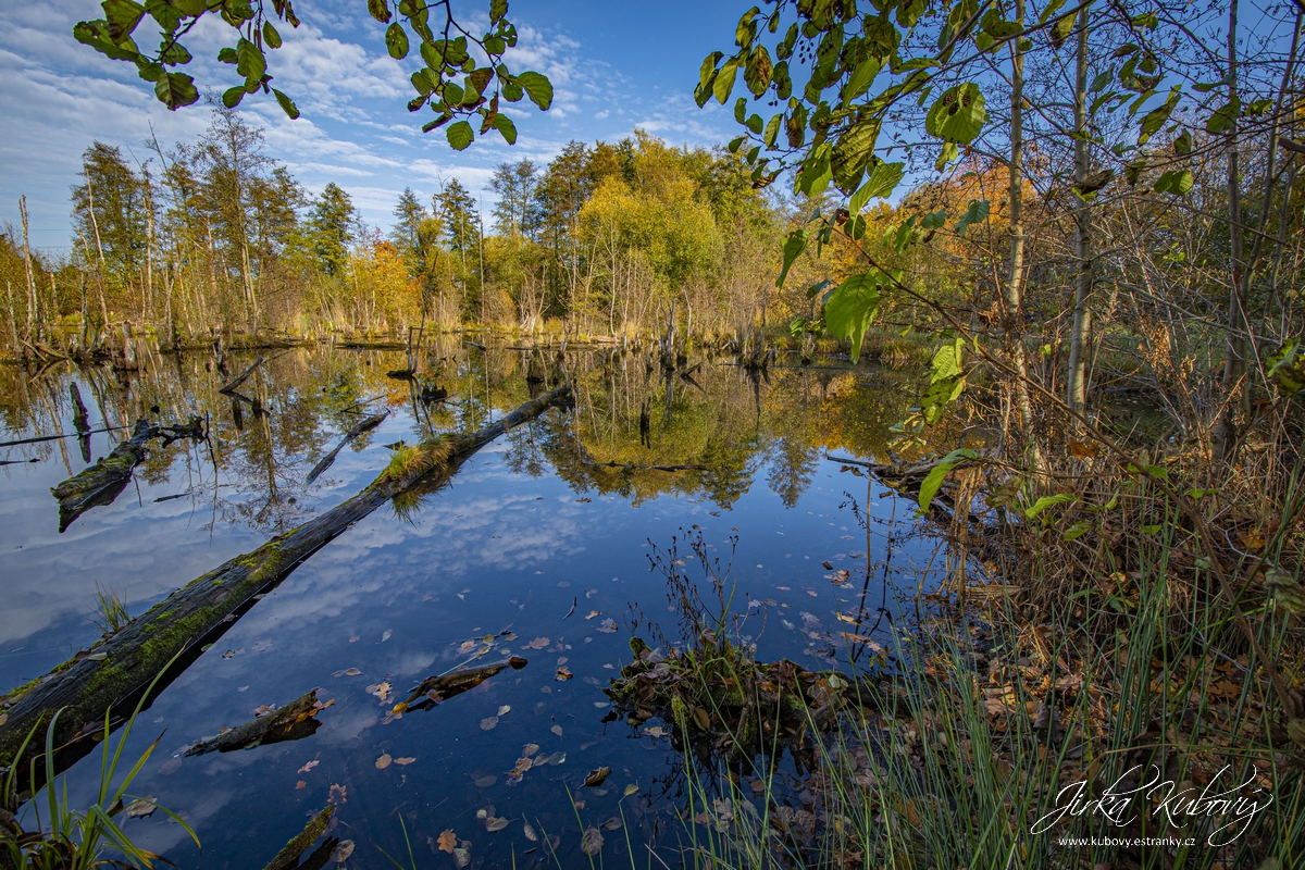 Barevný podzim (5)