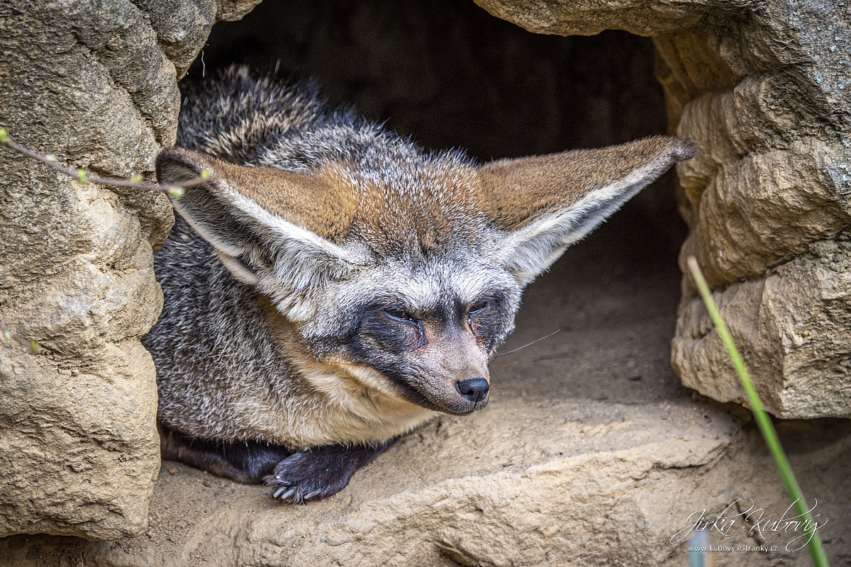 ZOO s Vaškem (03)