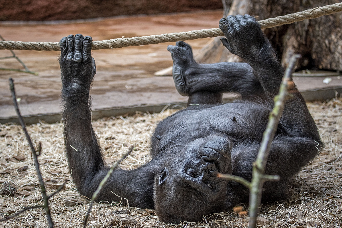 ZOO s Vaškem (06)