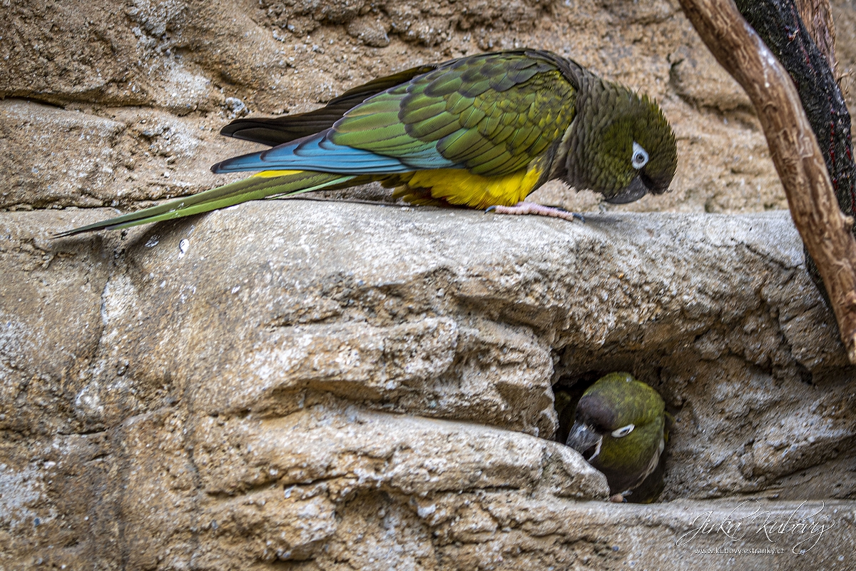 ZOO s Vaškem (14)