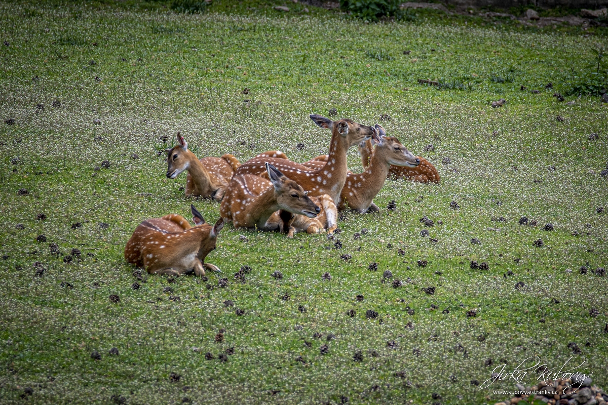 ZOO Ústí nad Labem (02)