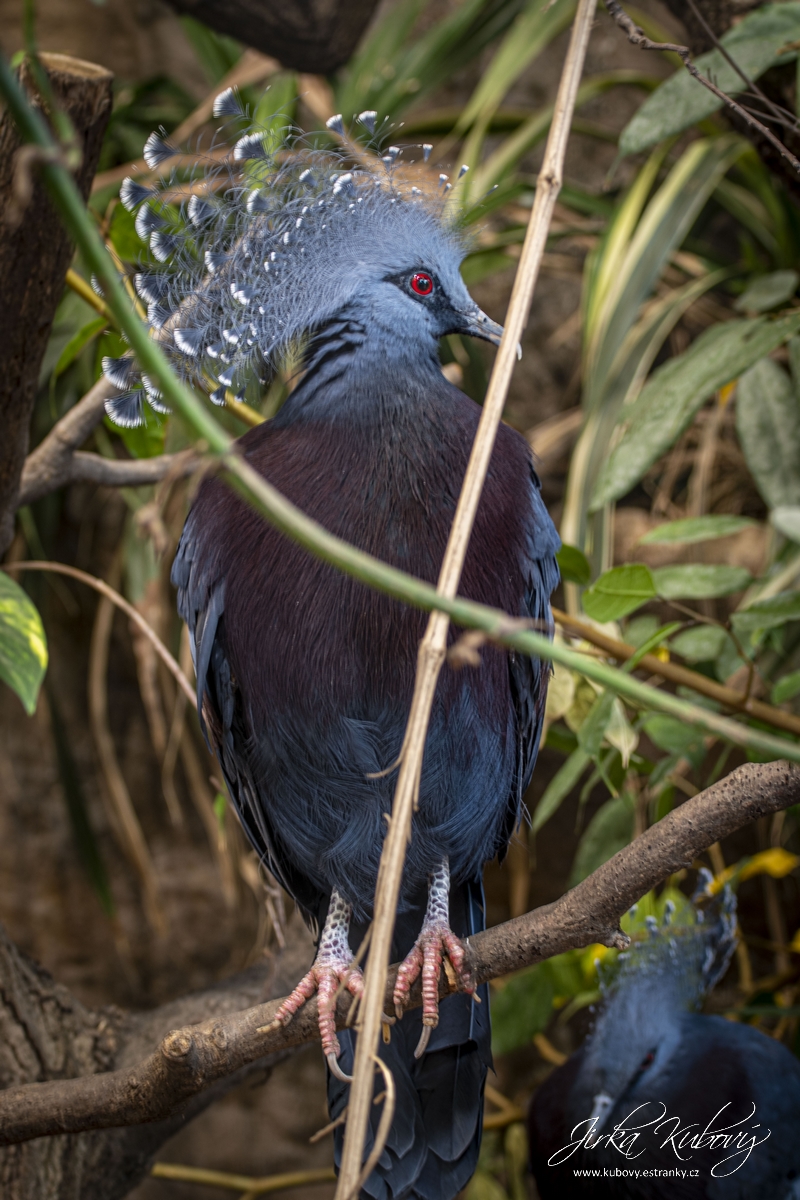 ZOO Ústí nad Labem (03)