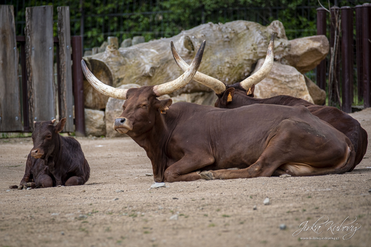 ZOO Ústí nad Labem (04)