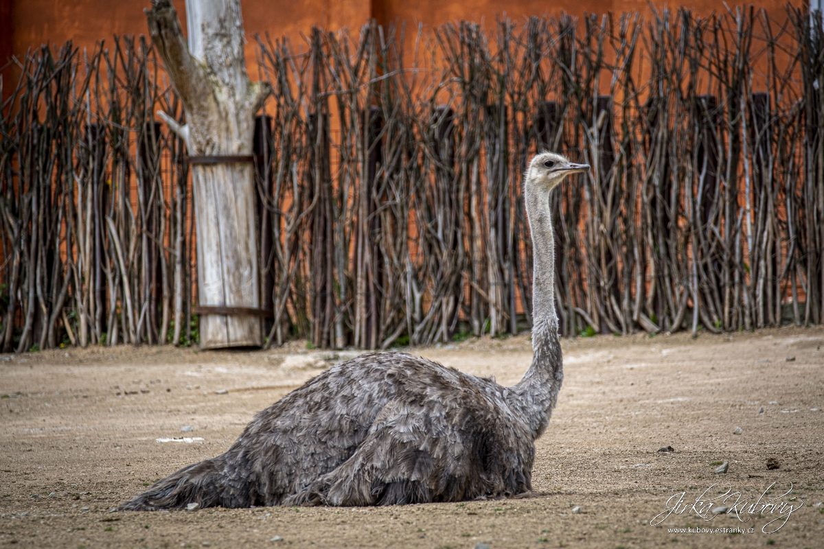 ZOO Ústí nad Labem (05)