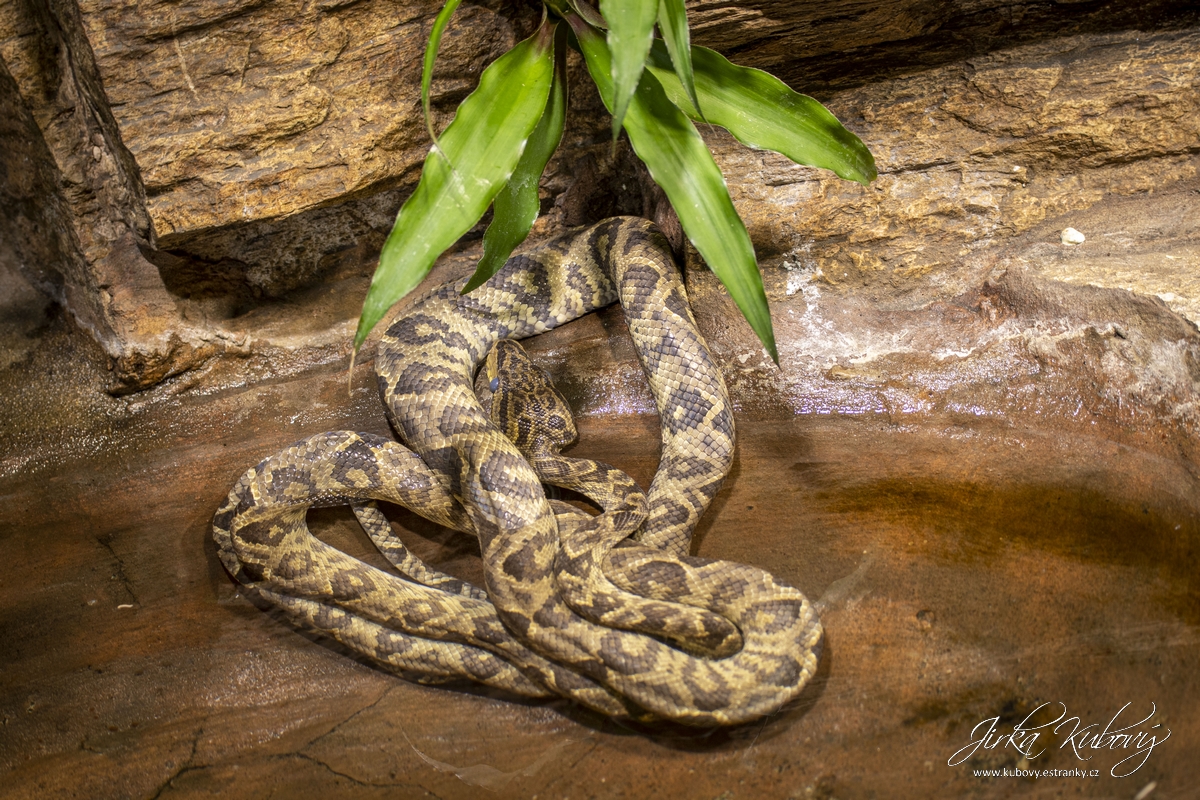 ZOO Ústí nad Labem (16)