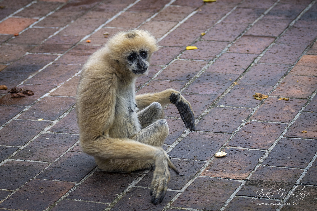 ZOO Ústí nad Labem (18)