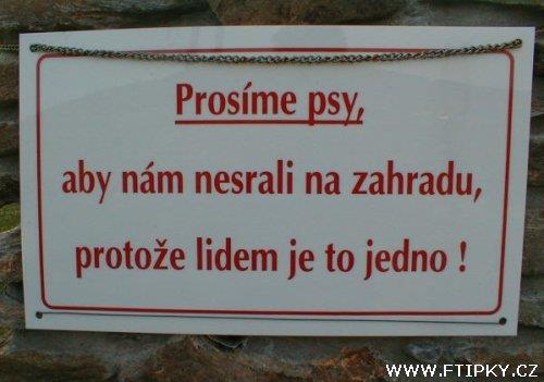 Zábava (12)