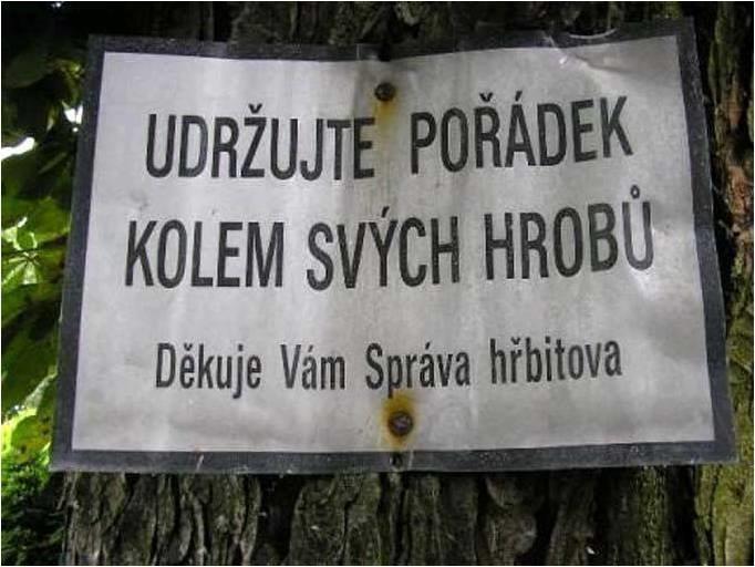 Zábava (14)