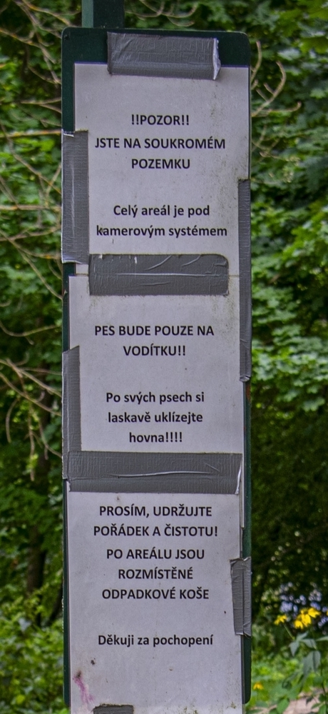 Zábava (19)
