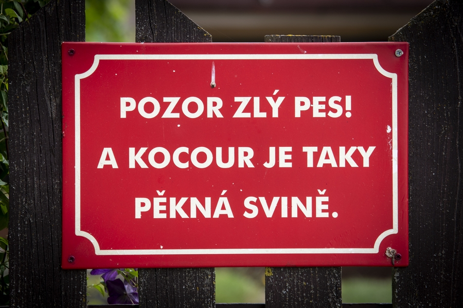 Zábava (20)