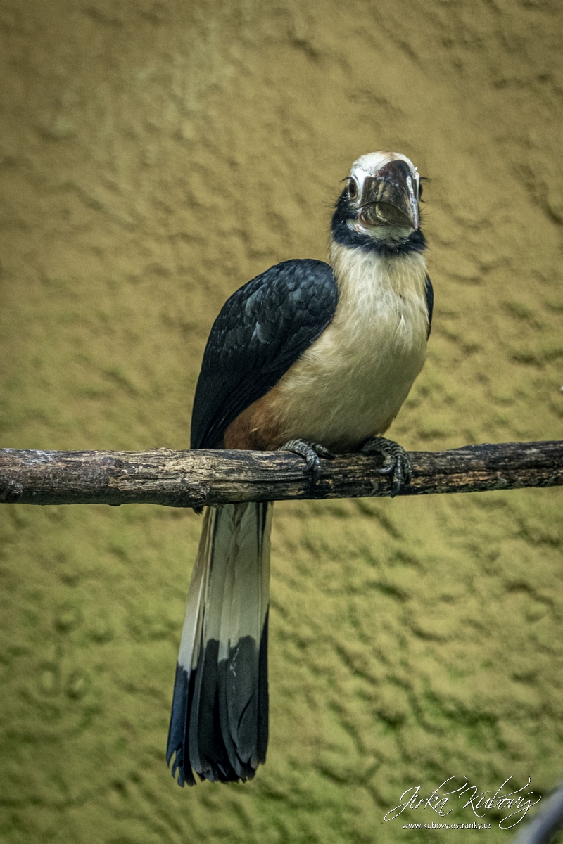 ZOO Drážďany (19)