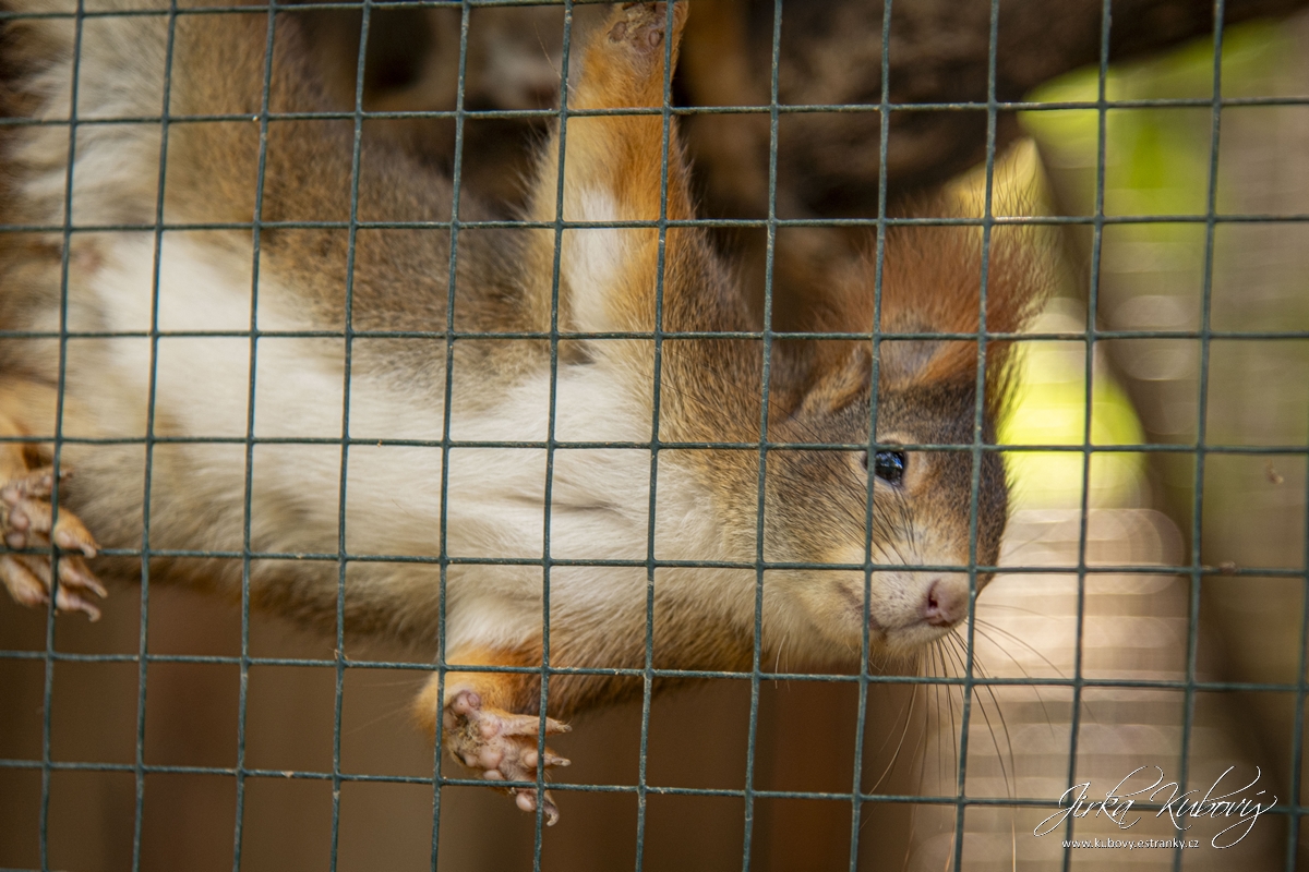 ZOO Zájezd (05)