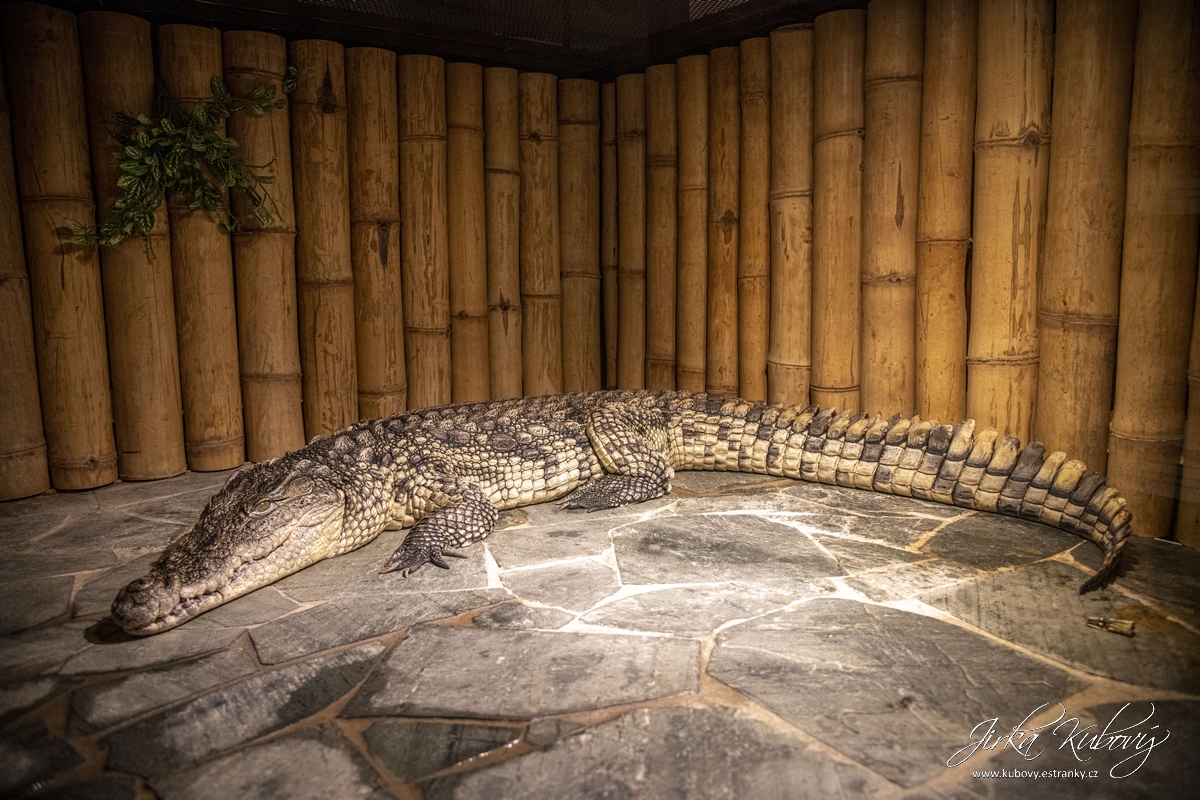 Krokodýlí Zoo Praha (20)