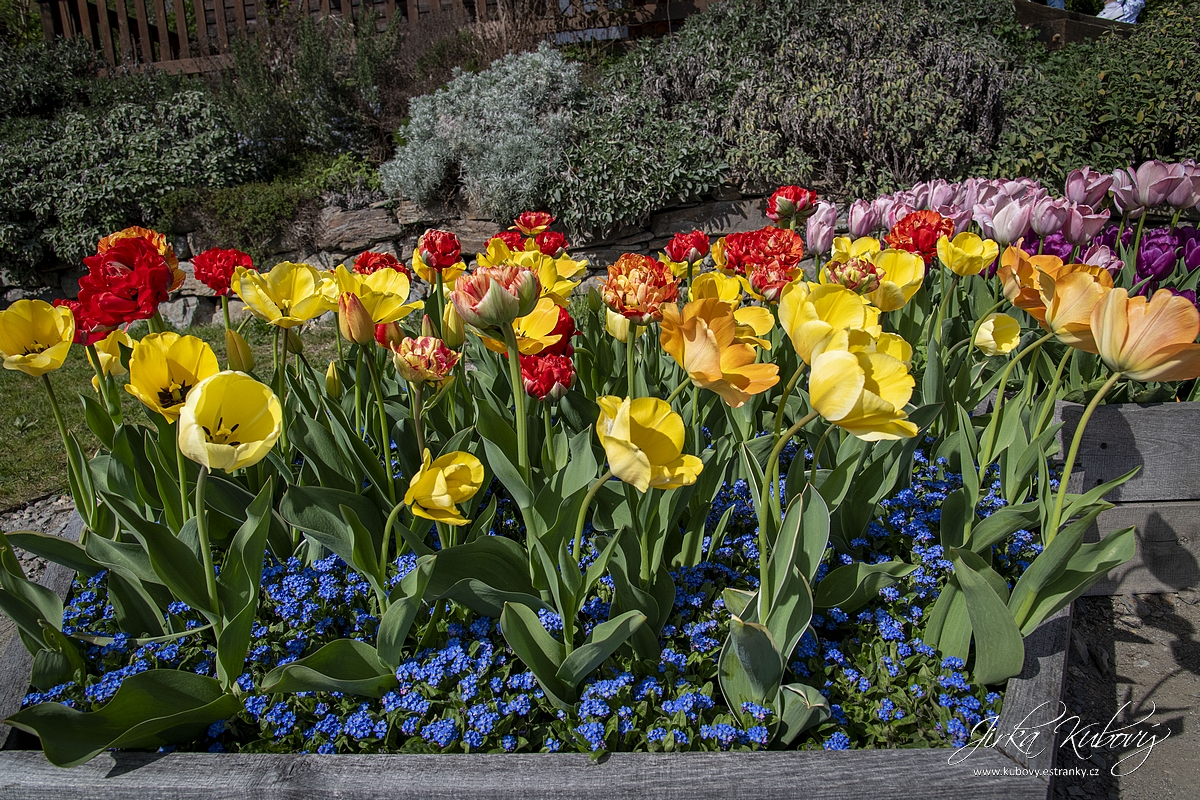 Botanická zahrada Praha (15)