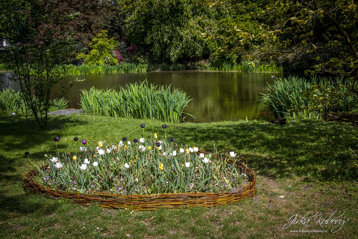 Botanická zahrada Malešice (04)