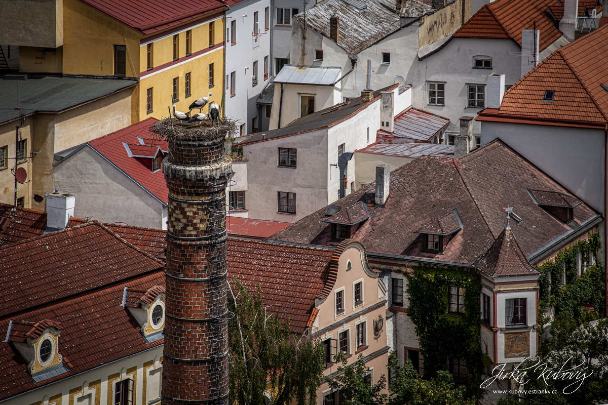 Jindřichův Hradec (28)