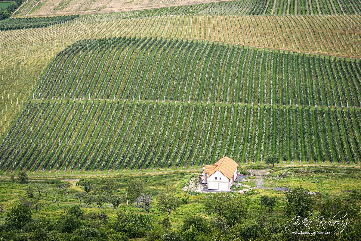 Házmburk (08)