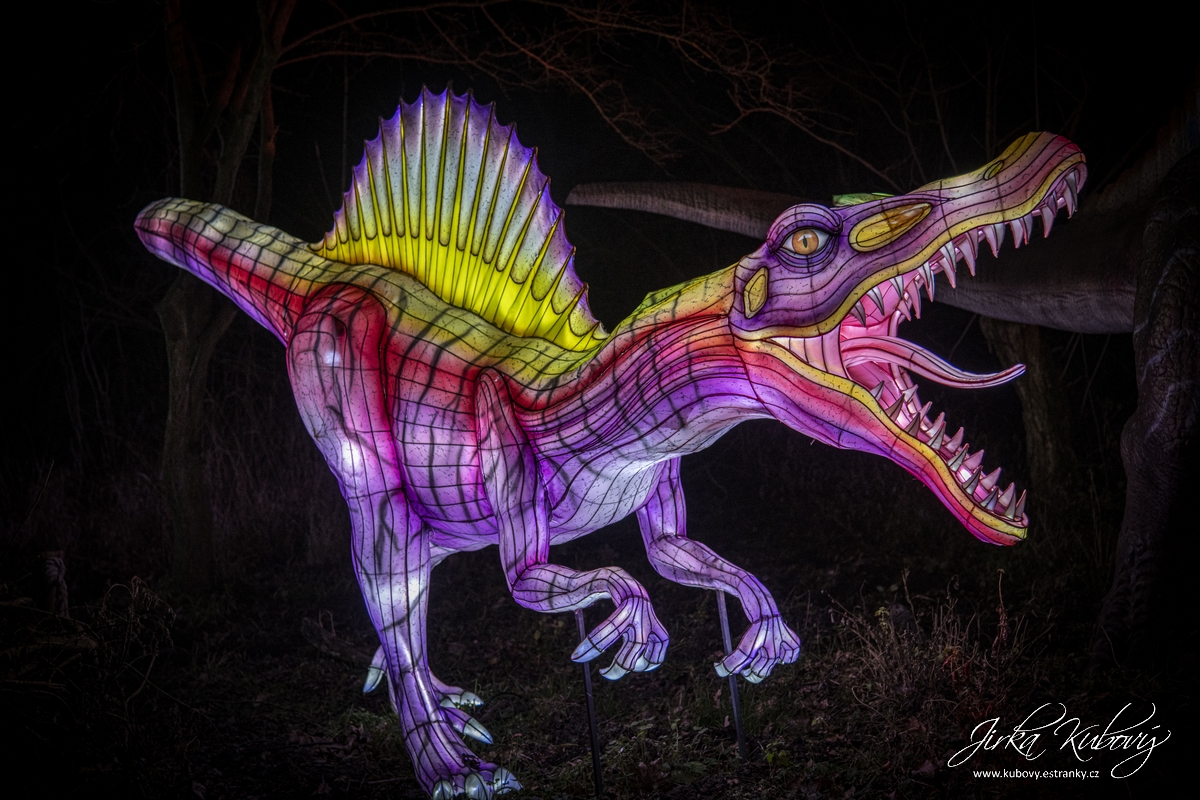 Lumina Park (29)
