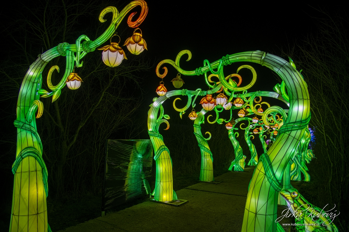 Lumina Park (31)