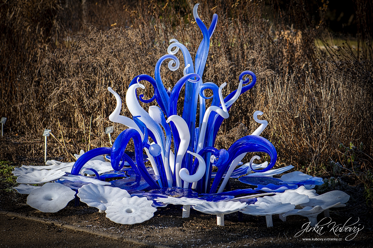 Křišťálová zahrada (24)