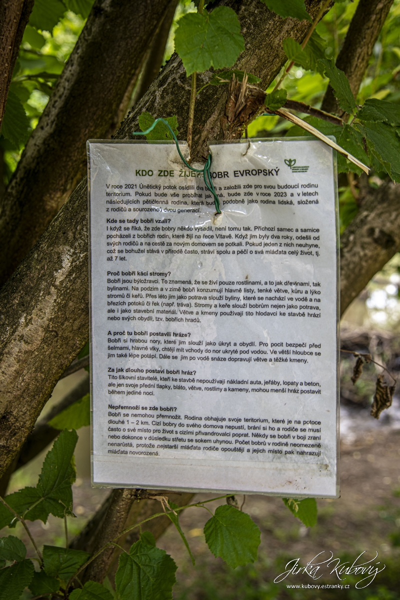 Tiché údolí (05)