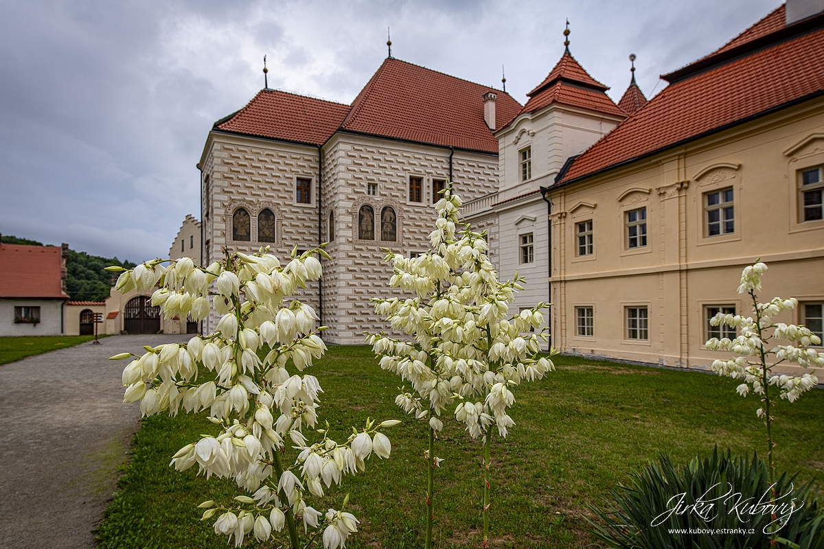 Klášter Želiv (24)