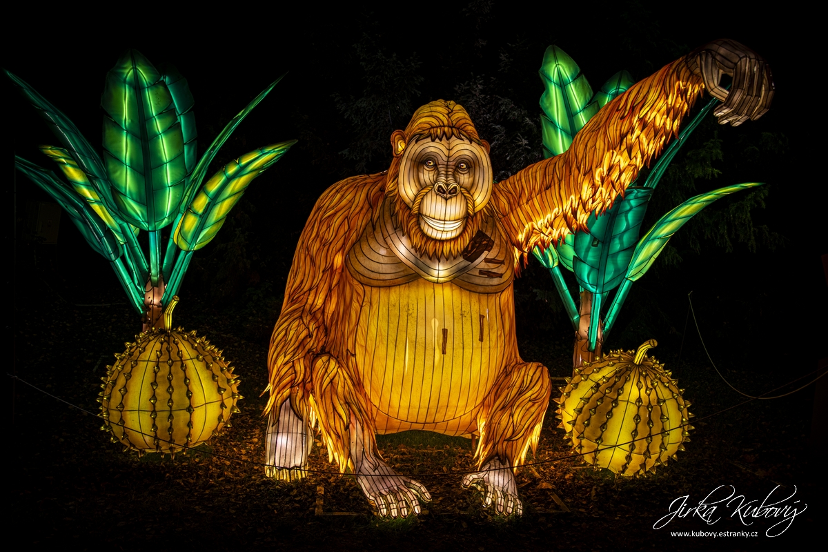 Zoo Praha - Divoká Asie (01)