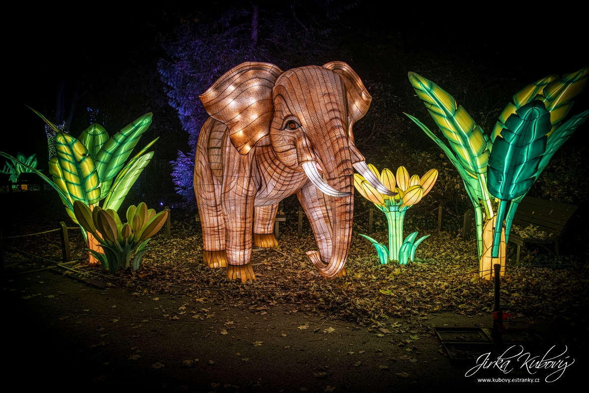 Zoo Praha - Divoká Asie (02)