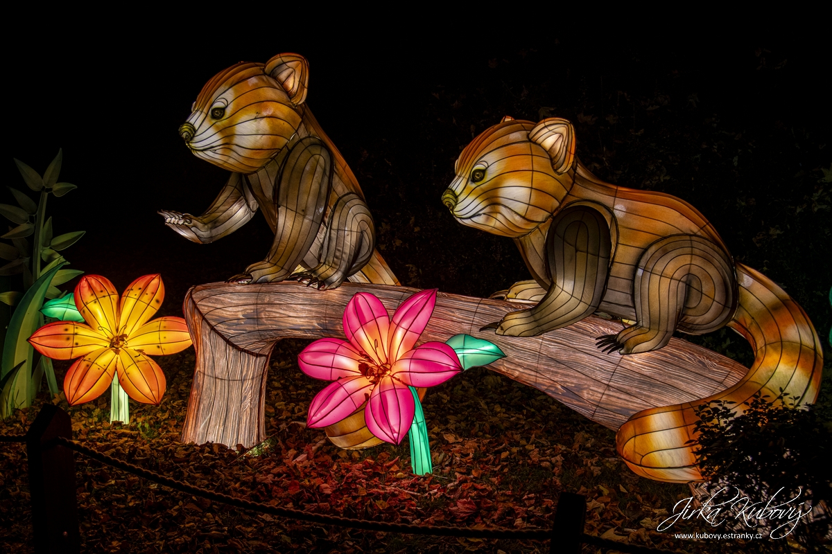 Zoo Praha - Divoká Asie (04)