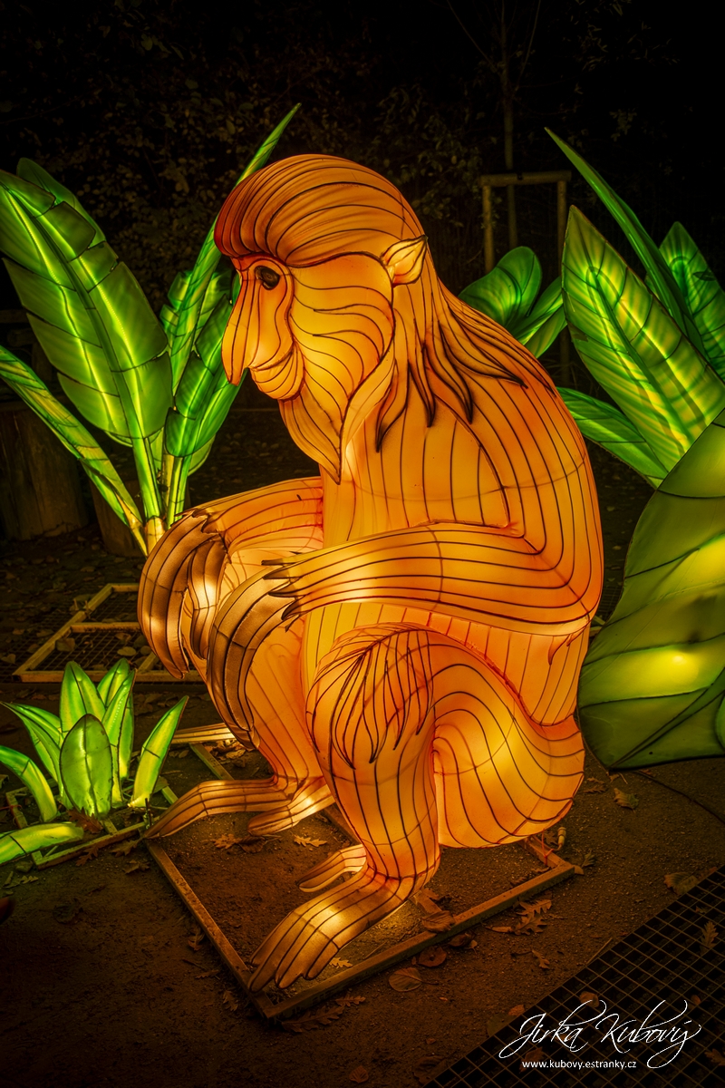 Zoo Praha - Divoká Asie (05)