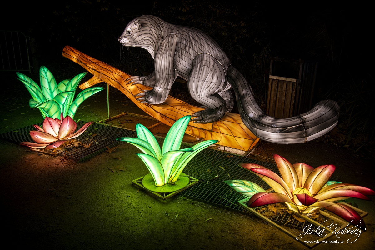 Zoo Praha - Divoká Asie (06)