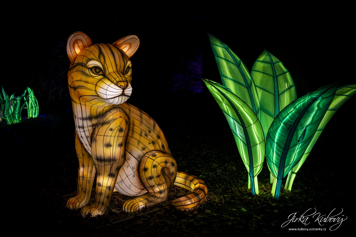 Zoo Praha - Divoká Asie (09)