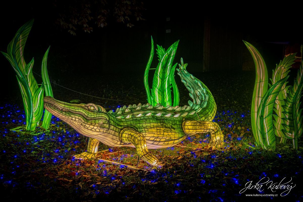 Zoo Praha - Divoká Asie (10)