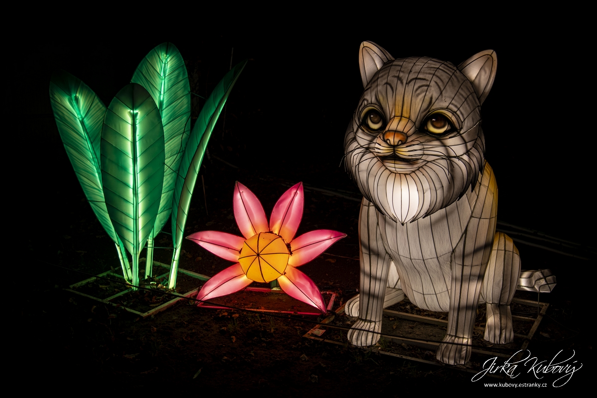 Zoo Praha - Divoká Asie (11)