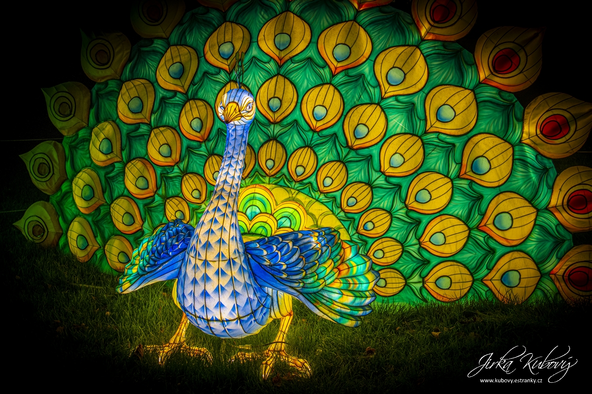 Zoo Praha - Divoká Asie (12)