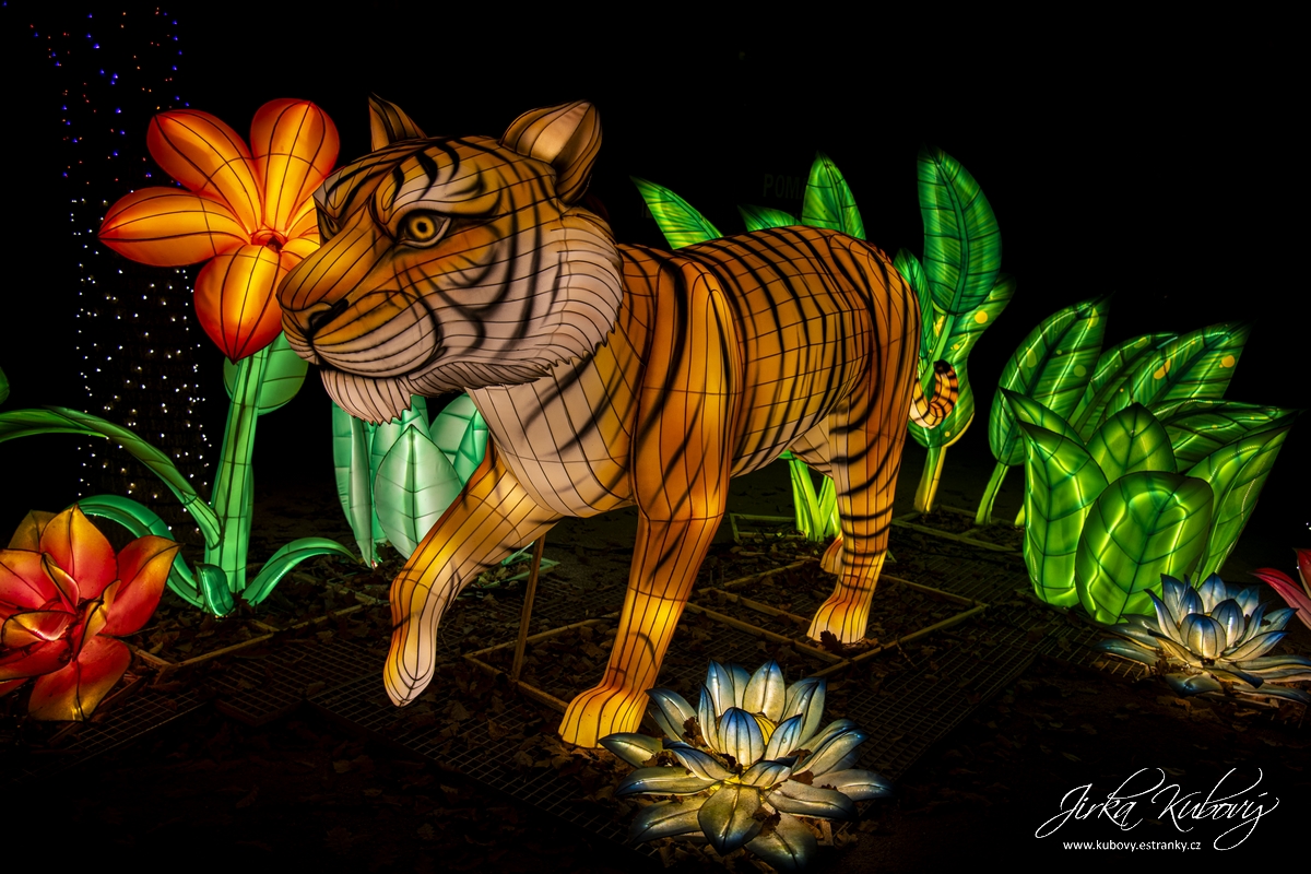 Zoo Praha - Divoká Asie (16)