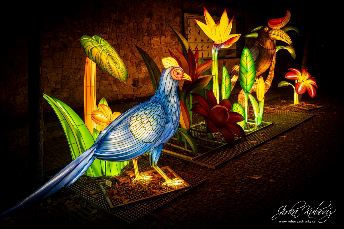 Zoo Praha - Divoká Asie (17)