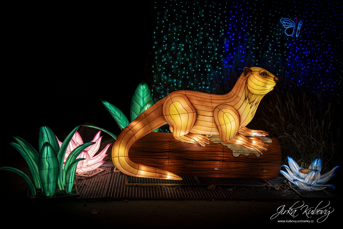 Zoo Praha - Divoká Asie (18)