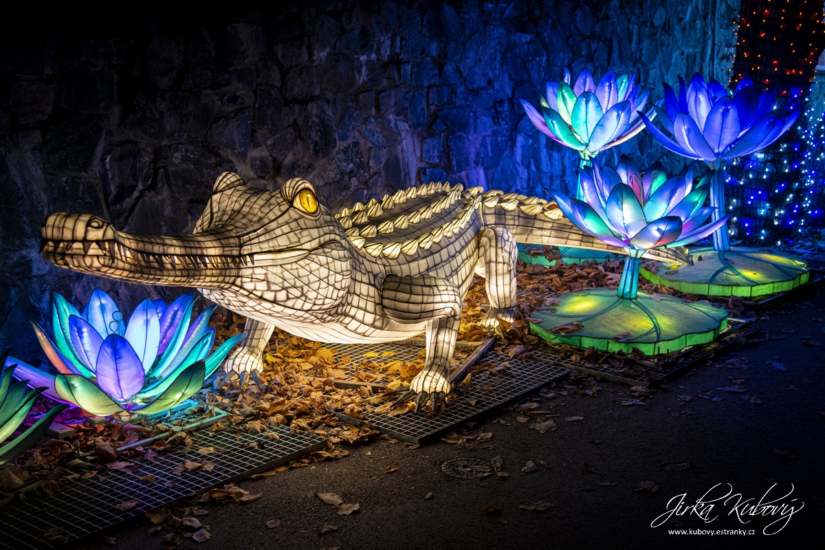 Zoo Praha - Divoká Asie (19)