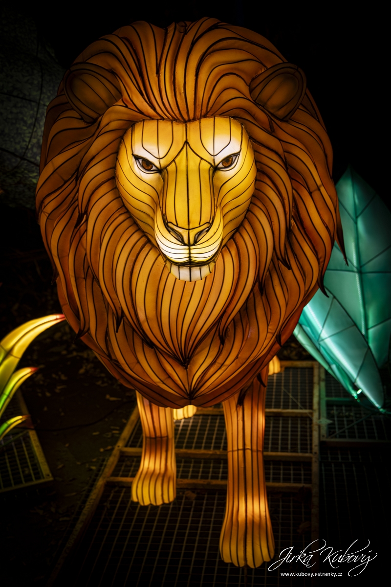 Zoo Praha - Divoká Asie (20)