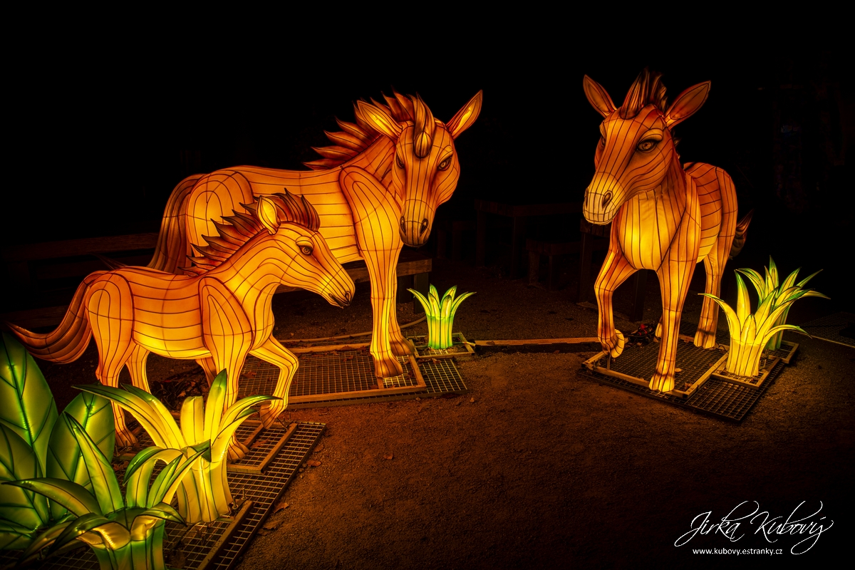 Zoo Praha - Divoká Asie (15)