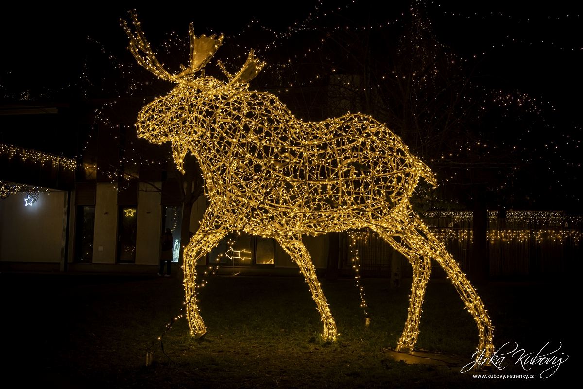 Žluté lázně (18)