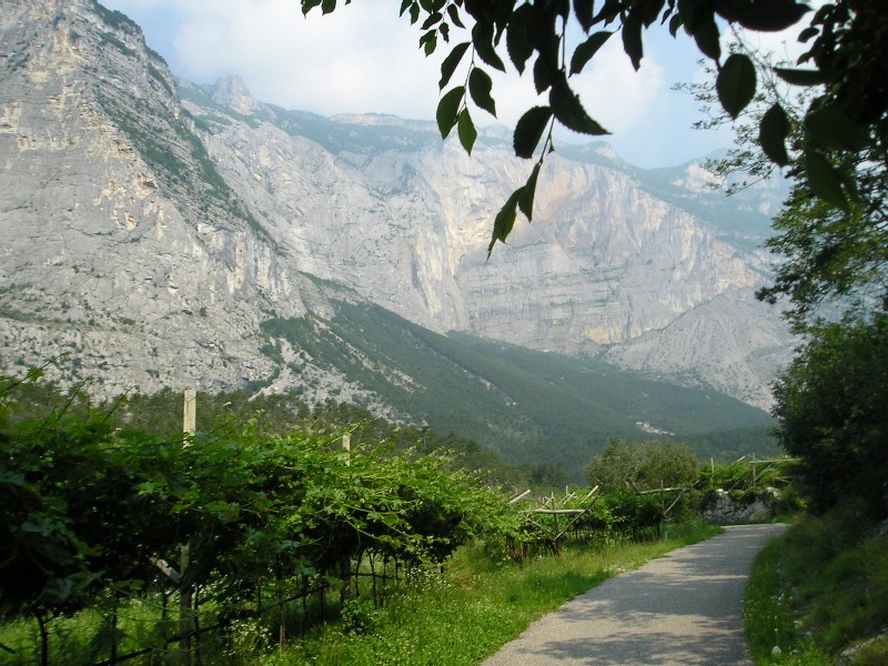 Lago di Garda (49)