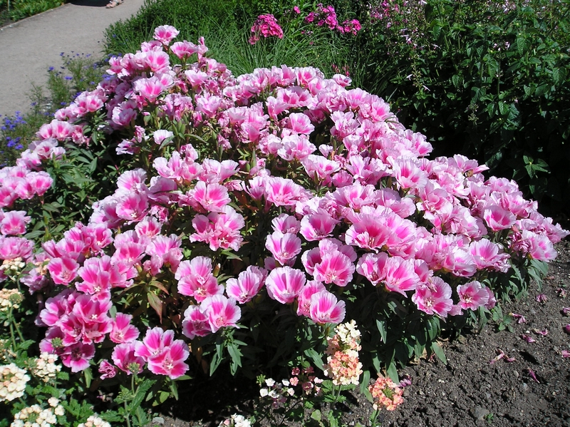 Botanická zahrada (17)