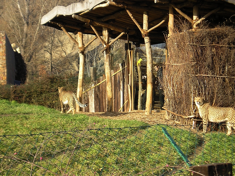 Zoo Praha (01)