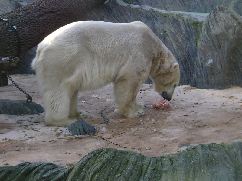 Zoo Praha (05)