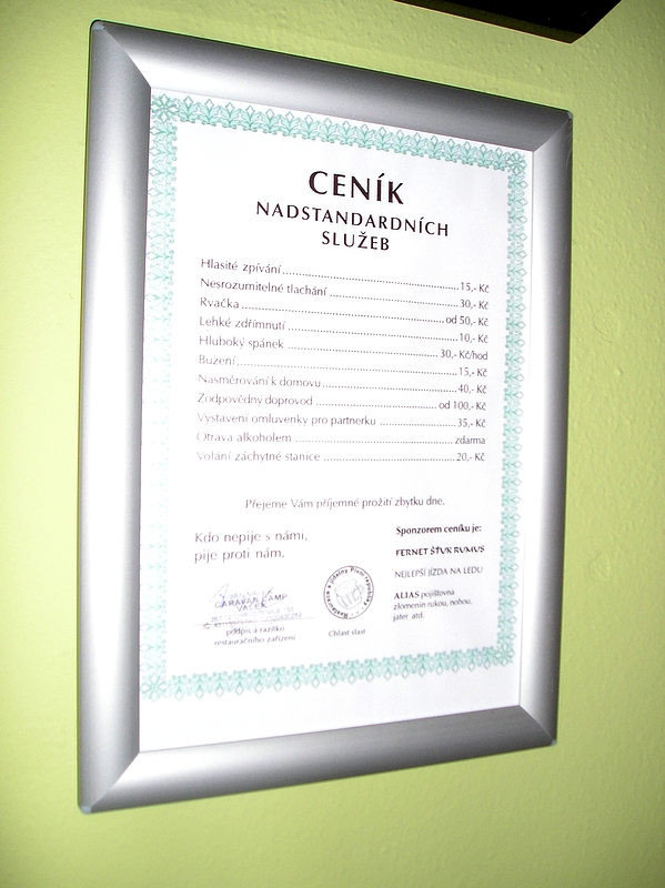 Chrustenice (20)